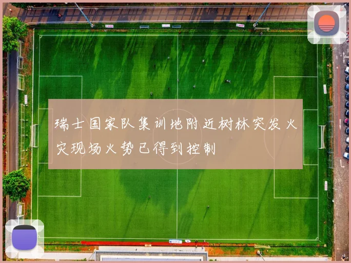 瑞士国家队集训地附近树林突发火灾现场火势已得到控制