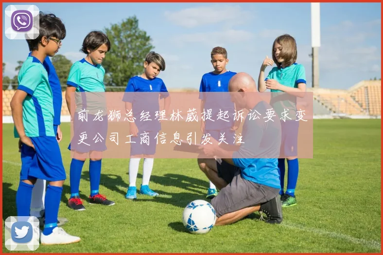 前龙狮总经理林葳提起诉讼要求变更公司工商信息引发关注